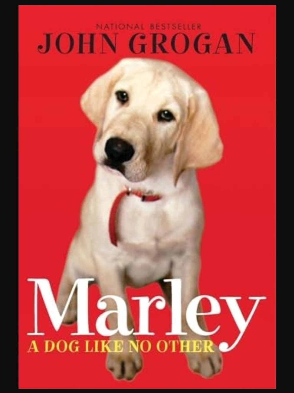 Marley Red Dog Collar - Classic Pet Collar